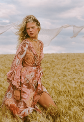 Stealing Beauty gown